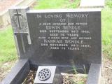 image of grave number 846378